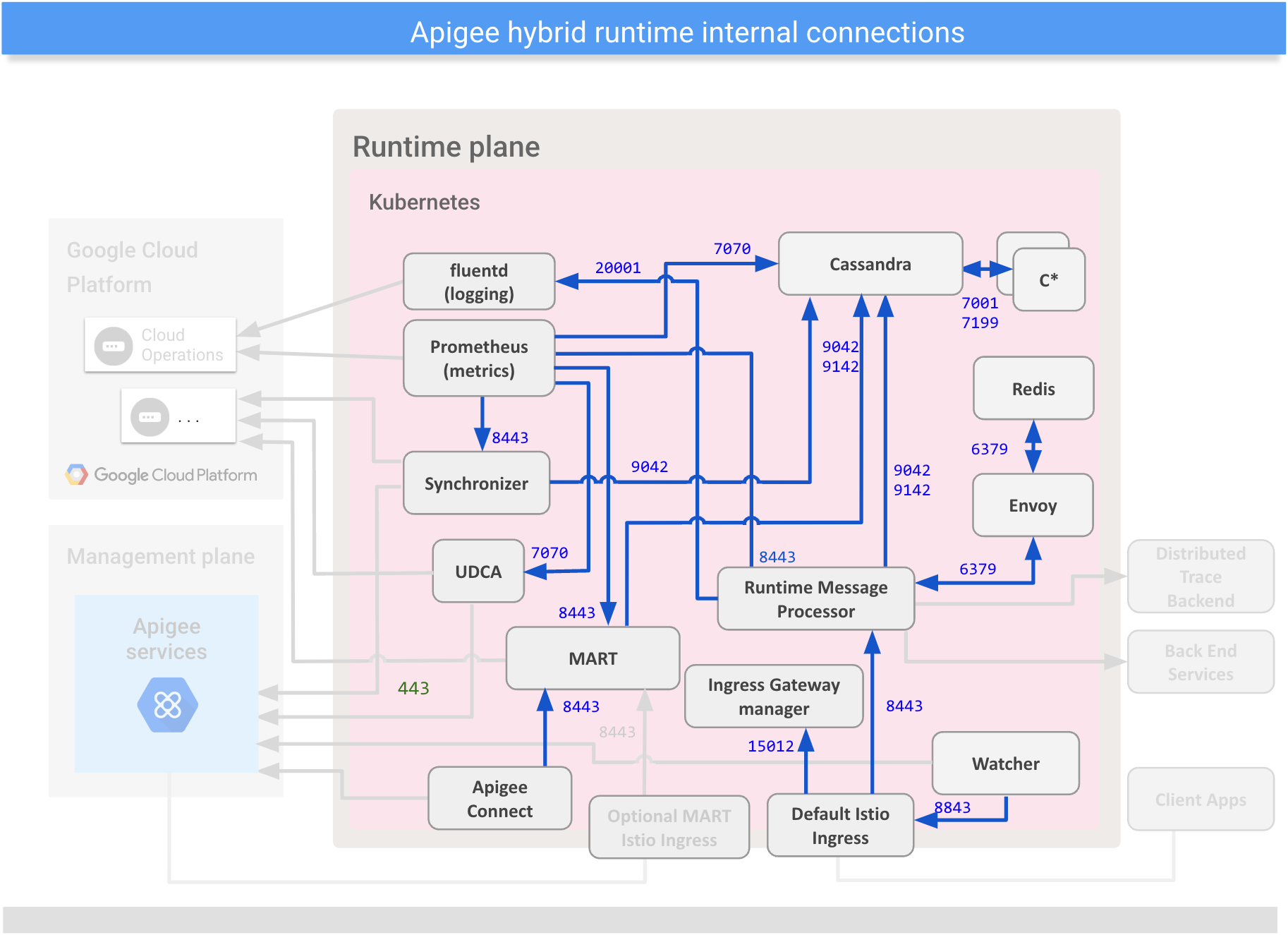 Shows connections
between internal components on the hybrid runtime plane