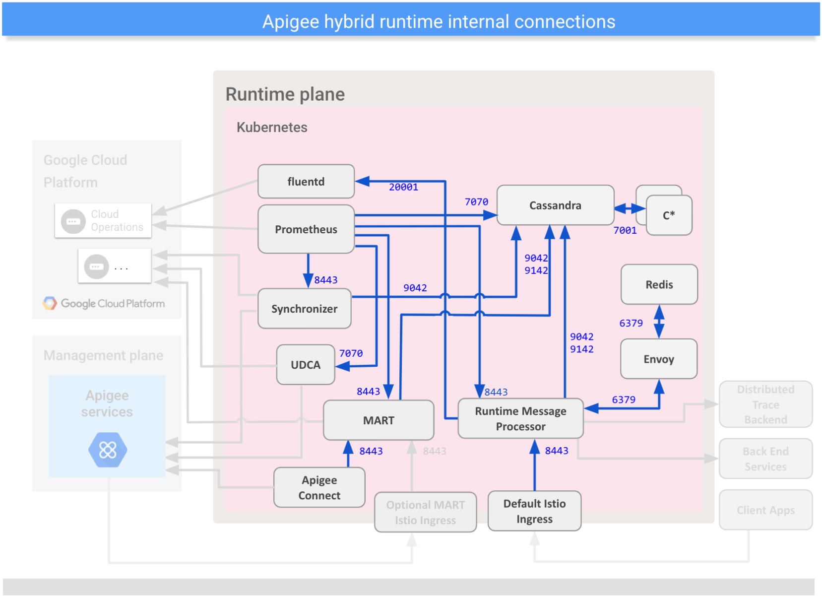 Shows connections
between internal components on the hybrid runtime plane