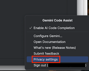 菜单中的 IntelliJ Gemini Code Assist 隐私权设置。