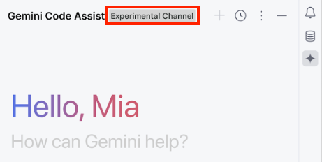 IntelliJ Gemini Code Assist chat banner shows release channel info.