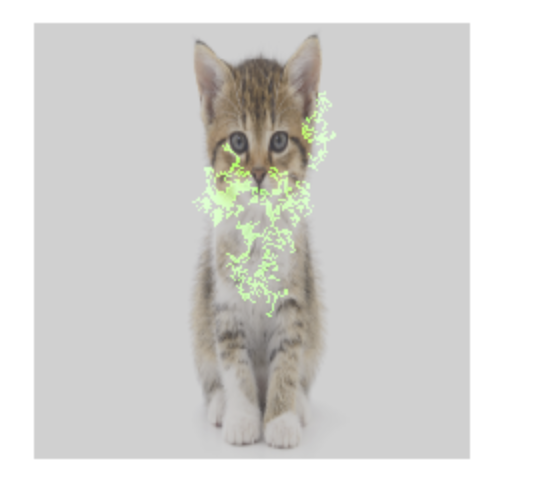 특성 기여 분석 오버레이가 있는 고양이 사진