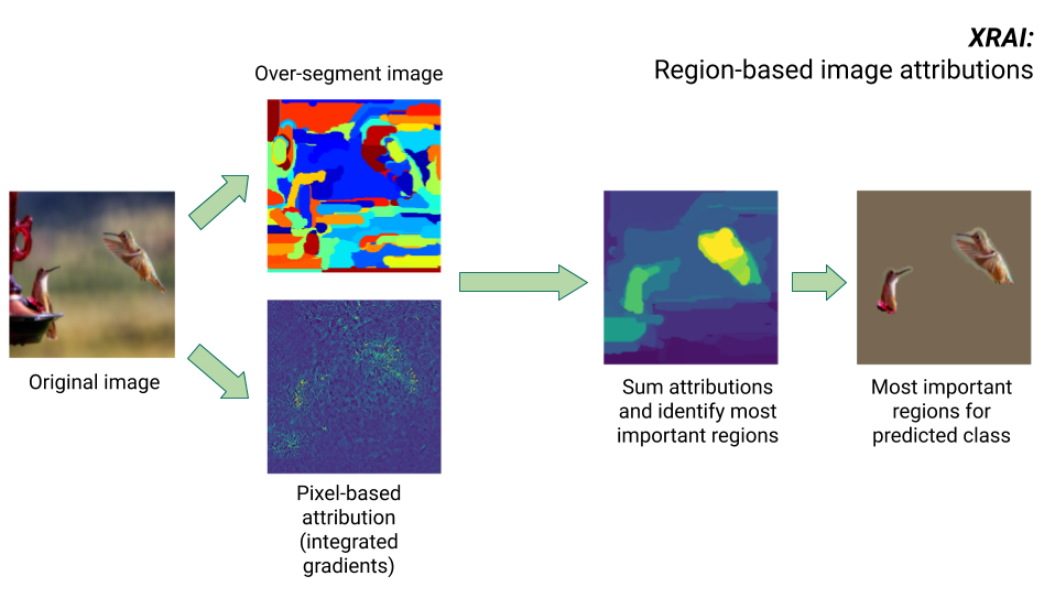 Bilder, die die Schritte des XRAI-Algorithmus zeigen