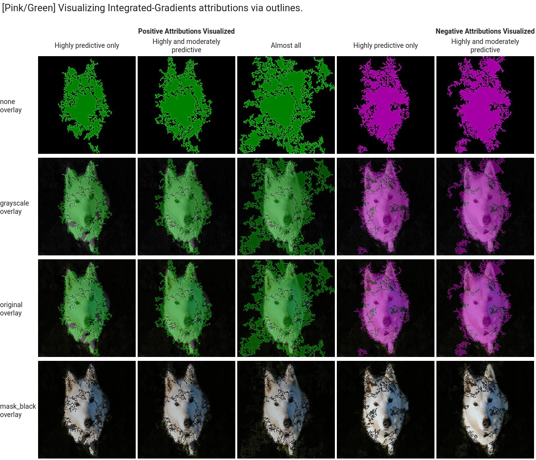 A feature attribution viz with outlines for IG attribution