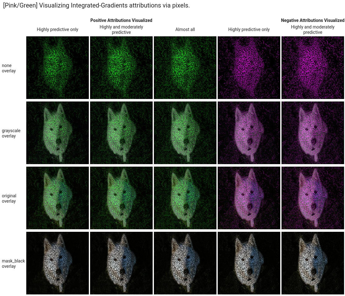 A feature attribution viz with pixels for IG attribution