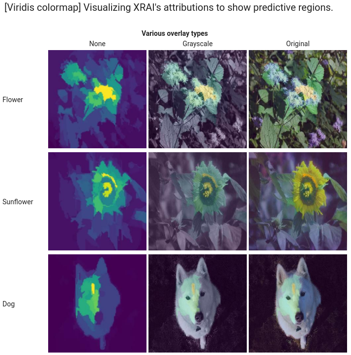 A feature attribution vizualization for XRAI attribution