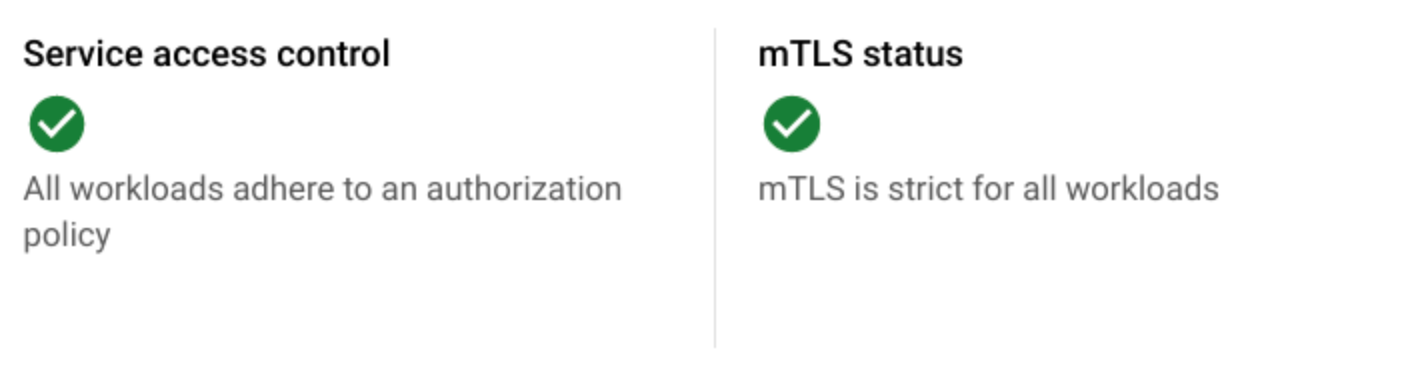 服务访问权限控制和 mTLS 状态的简要概览