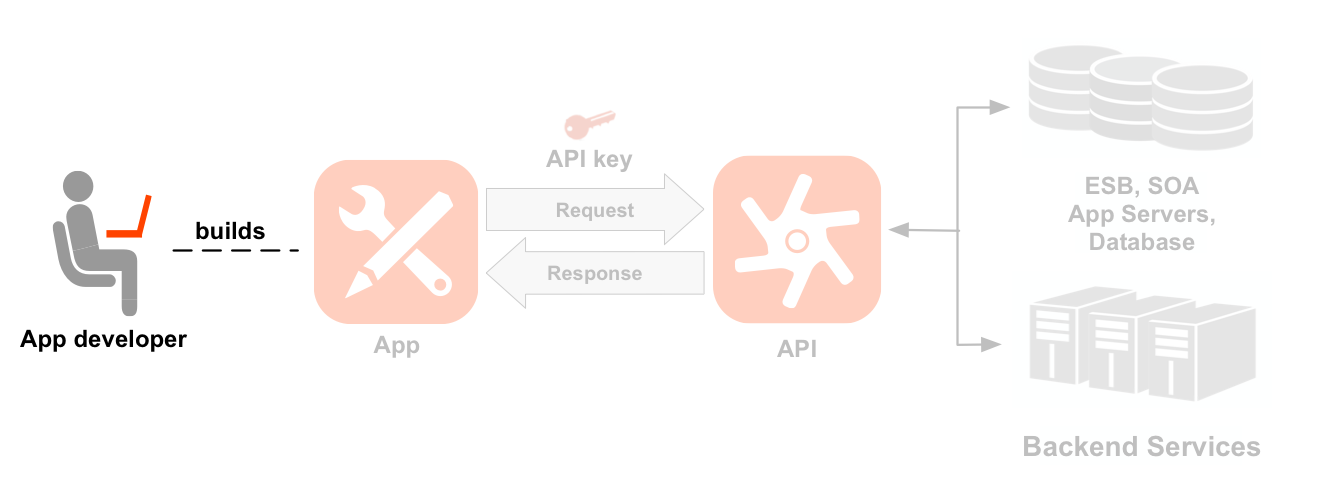 Un diagramma di sequenza da sinistra a destra che mostra uno sviluppatore, un&#39;app, API e servizi di backend. L&#39;icona dello sviluppatore è evidenziata. Una linea tratteggiata punta dallo
    sviluppatore evidenziato a un&#39;icona di un&#39;app creata dallo sviluppatore. Le frecce che vanno dall&#39;app
    all&#39;icona dell&#39;API e viceversa mostrano il flusso di richiesta e risposta, con una chiave dell&#39;app posizionata
    sopra la richiesta. Sotto l&#39;icona dell&#39;API si trovano due insiemi
    di percorsi delle risorse raggruppati in due prodotti API: prodotto Location e prodotto Media.
    Il prodotto Località ha risorse per /countries, /cities e /languages, mentre il prodotto Media
    ha risorse per /books, /magazines e /movies. A destra dell&#39;API si trovano le
    risorse di backend che l&#39;API chiama, tra cui un database, un bus di servizio aziendale, server
    di app e un backend generico.