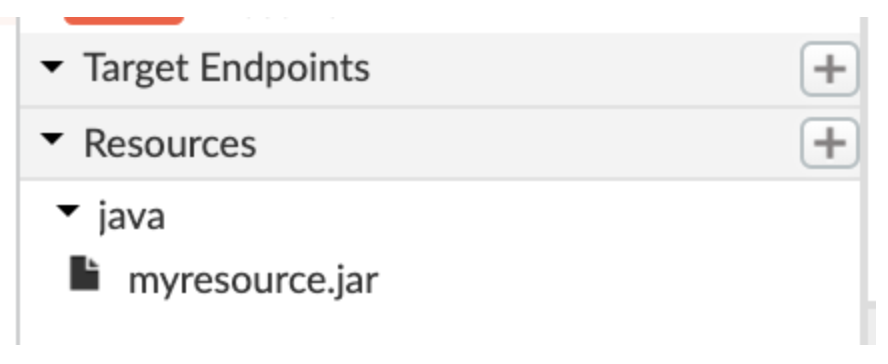 API Proxy 資源。