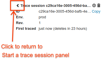 Back arrow that returns you to the Start a debug session panel