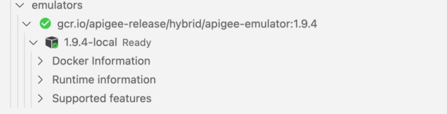 Symbol: Apigee Emulator installieren
