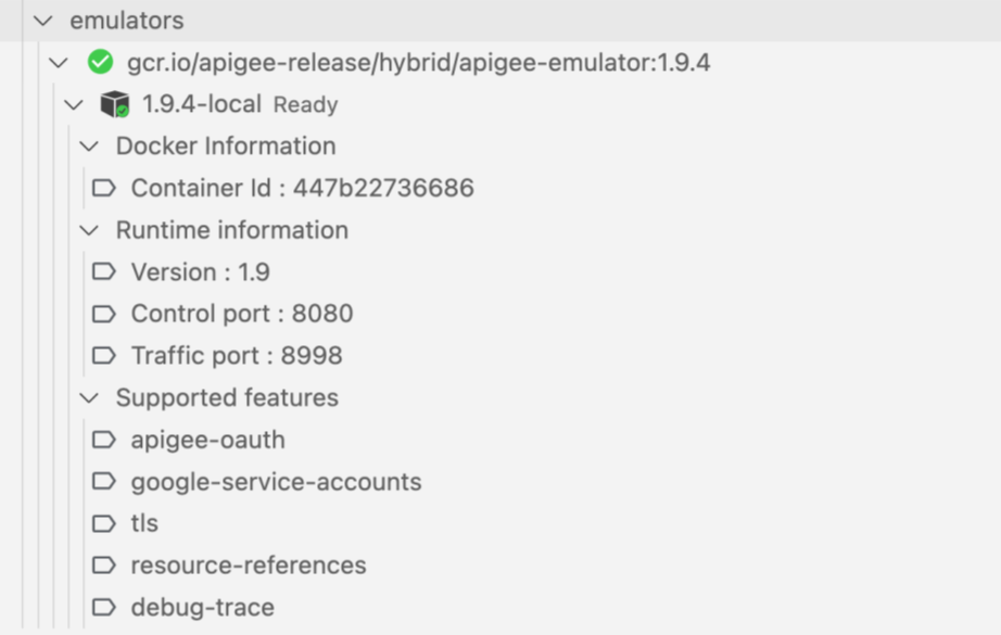 Apigee Emulator status information