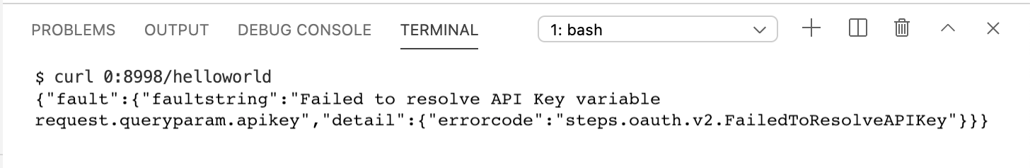 Llama a la API en la pestaña de la terminal y obtiene un error de autorización