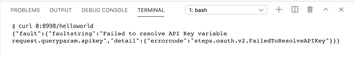 在 Terminal 标签页中调用 API 并收到授权错误