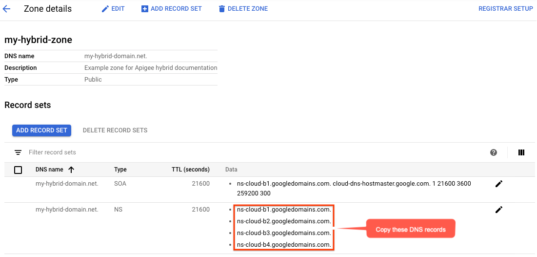 Zone details, DNS servers highlighted