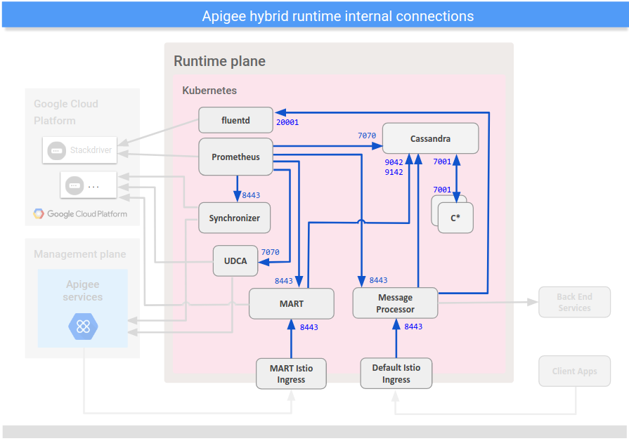 Mostra connessioni
tra i componenti interni del piano di runtime ibrido