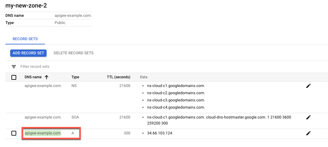 DNS name environment variable highlighted