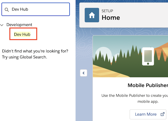 Salesforce Dev Hub 页面。