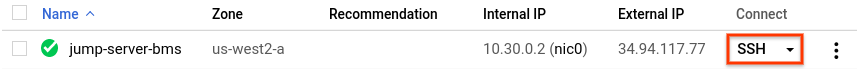 Die Schaltfläche &quot;SSH&quot; wird für die Jump-Host-Zeile auf der Seite &quot;VM-Instanzen&quot; hervorgehoben.
