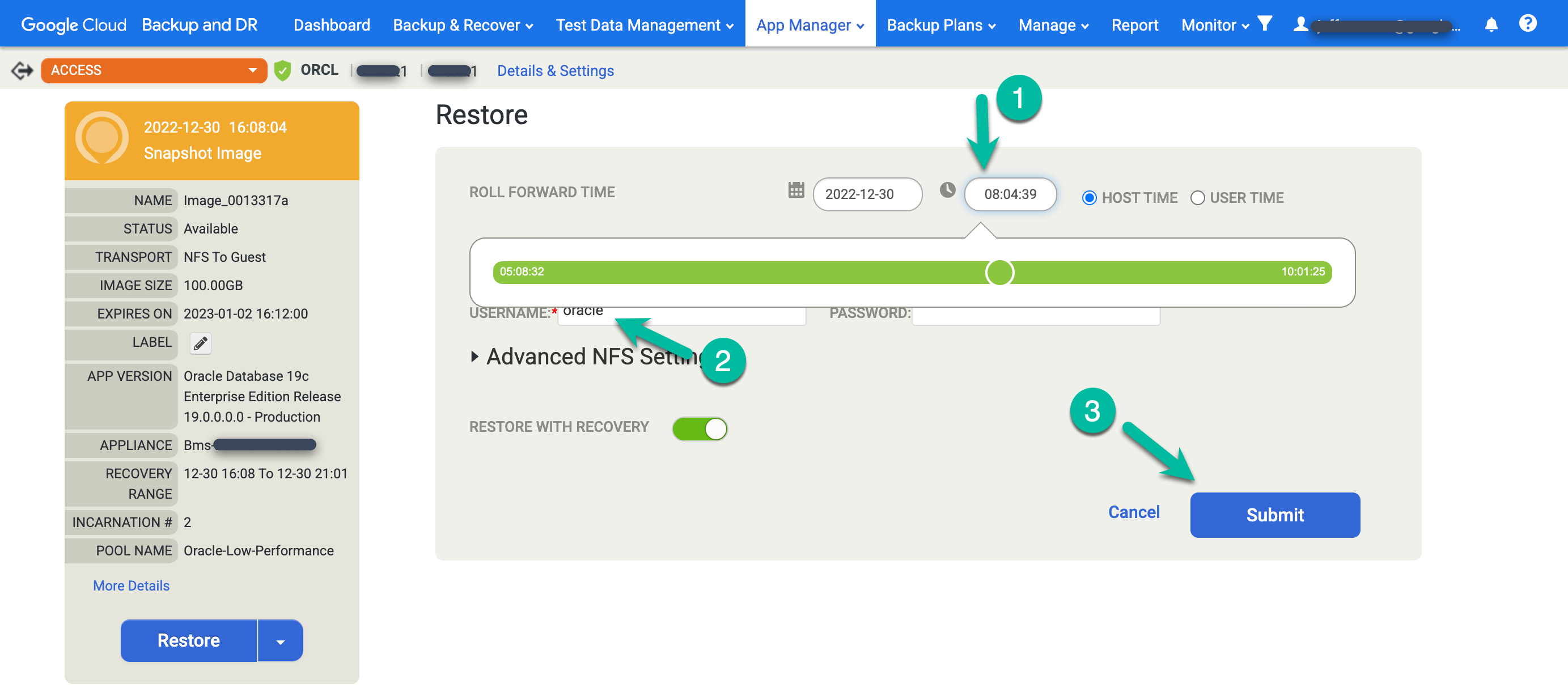 Backup and DR management console page that shows how to select restore options.