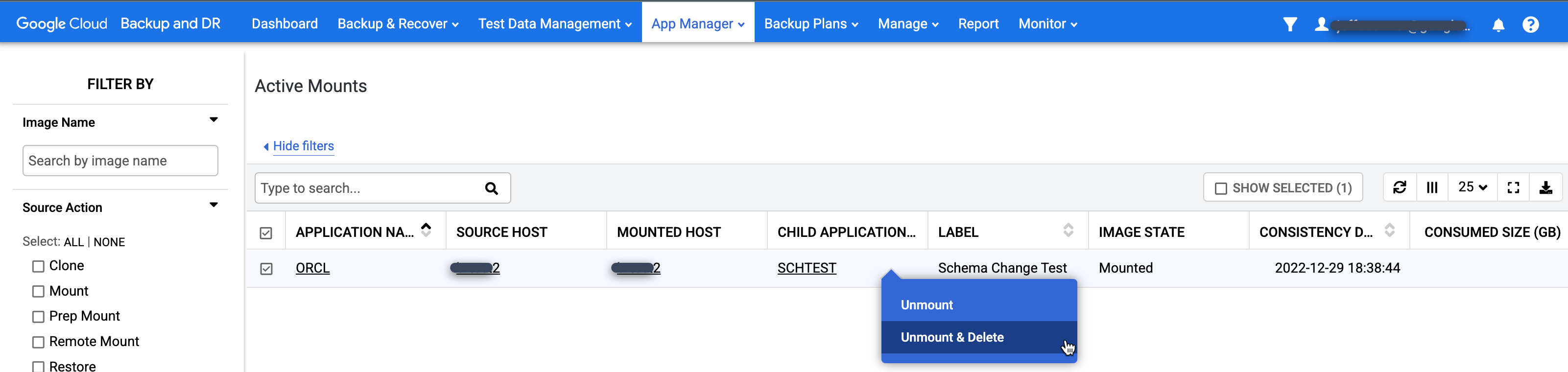 バックアップと DR の管理コンソール ページ。[App Manager ] の [Active Mounts] ページにある [Unmount and Delete ] メニューが表示されています。