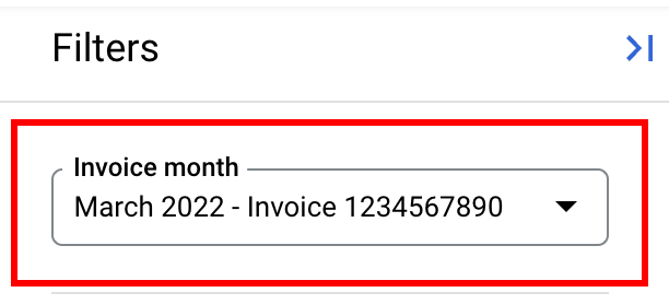 Invoice month selector in the filters panel.