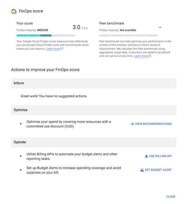 Exemple de page d&#39;informations sur le score FinOps.