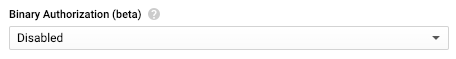 Binary Authorization オプションを無効にする