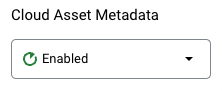 Screenshot: Cloud Asset Metadata aktivieren.