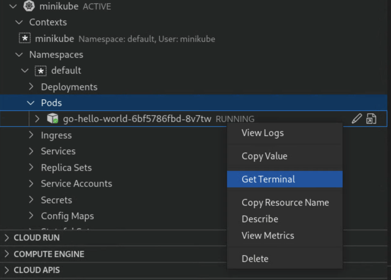 Opening an interactive terminal