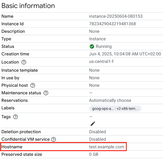 Página Instancias de VM que muestra el nombre de host.