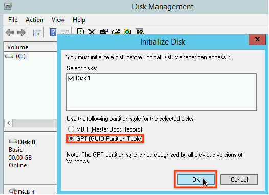 Selecting a partition scheme in the disk initialization window.