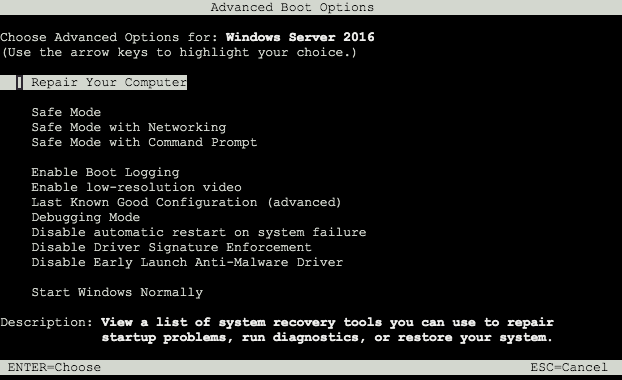 Advanced Boot Options
menu