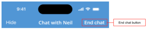 An example indicating the button to end chat is shown.