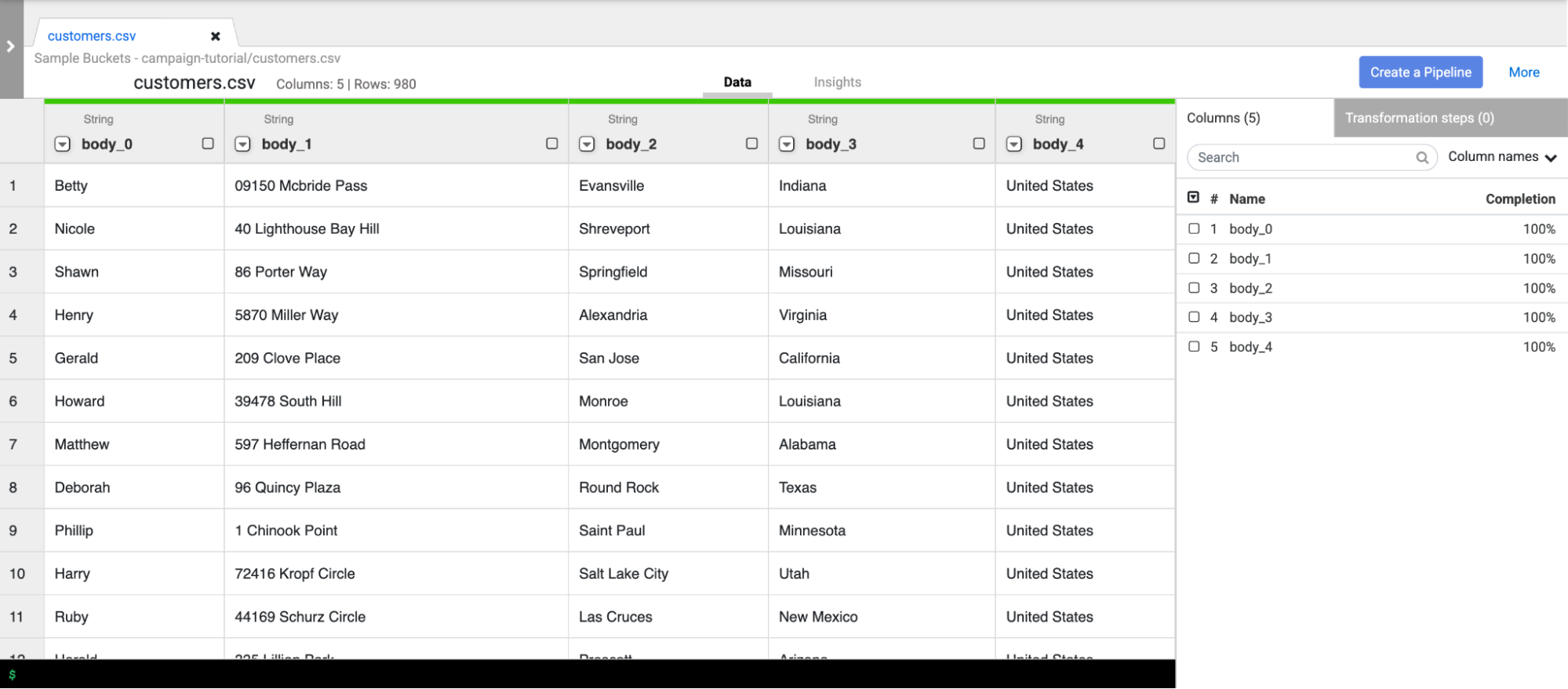 Loaded customer data