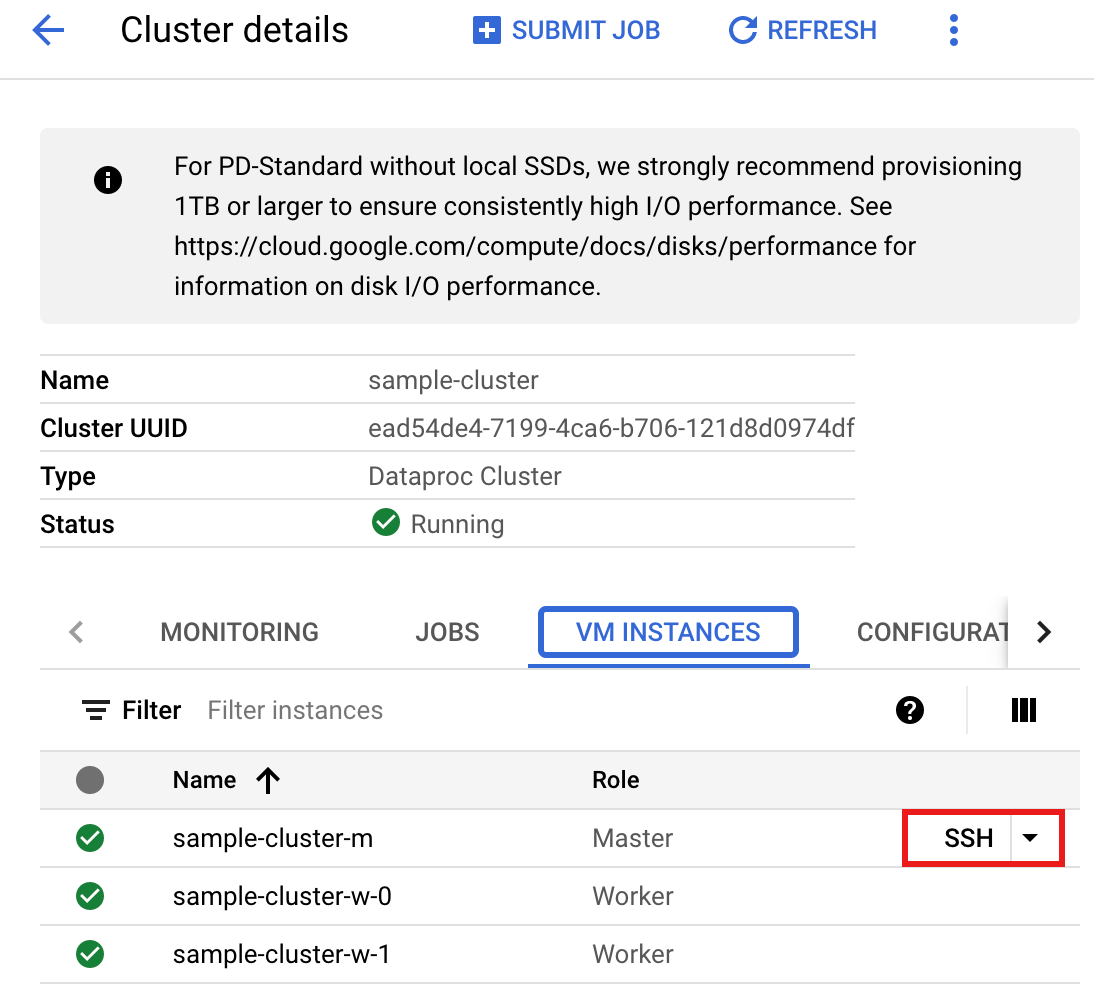 Cloud 控制台中的 Dataproc 叢集詳細資料頁面。
