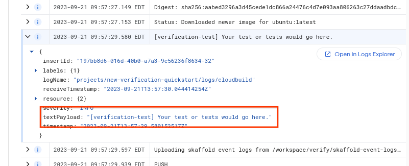 Voce del log che mostra l&#39;output del job di verifica