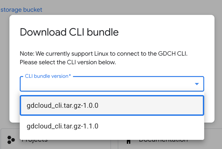 Check the CLI bundle version from the Download prompt.