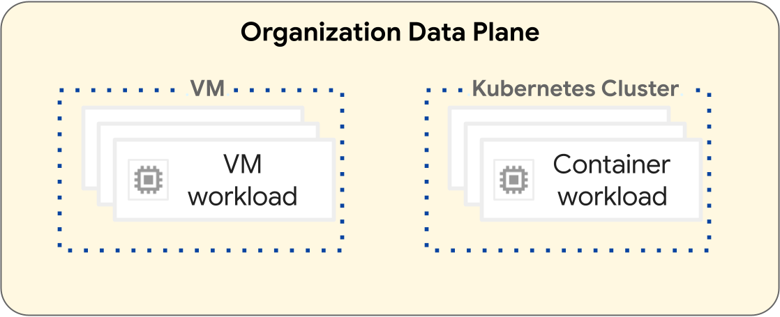 Workload separation in organization data plane.