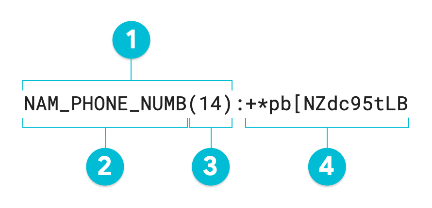 Diagrama anotado de un valor con asignación de tokens mediante el método de transformación de encriptación de preservación de formato