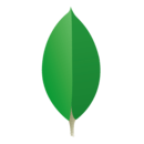 查看 MongoDB 文档