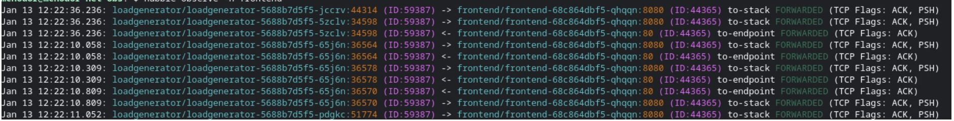 Network inspection CLI