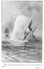 Copertina di Moby Dick