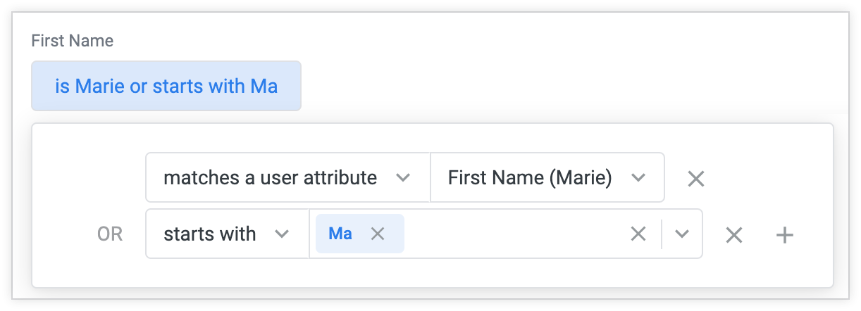 Erweiterte Steuerelemente werden zuerst als Filterbedingung angezeigt. Wenn Sie diese Bedingung auswählen, werden eine Reihe von Drop-down-Menüs und Textfeldern angezeigt, mit denen Sie die Bedingung anpassen können.