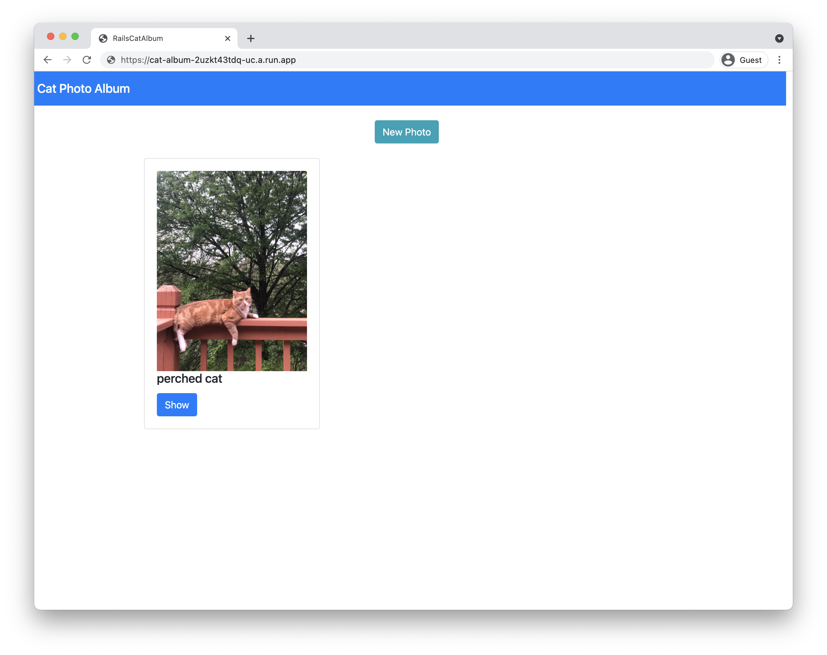 Capture d'écran de la page de destination d'une application d'album photo de chats avec une photo.