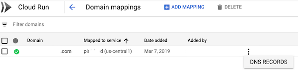 select DNS records