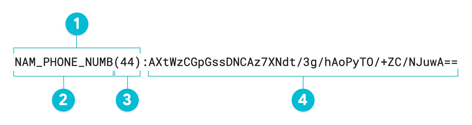 Diagrama anotado de um valor tokenizado usando a criptografia
         determinística usando o método de transformação AES-SIV.