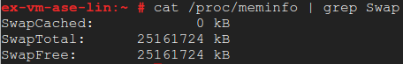 Contoh output terminal saat direktori swap keluar.