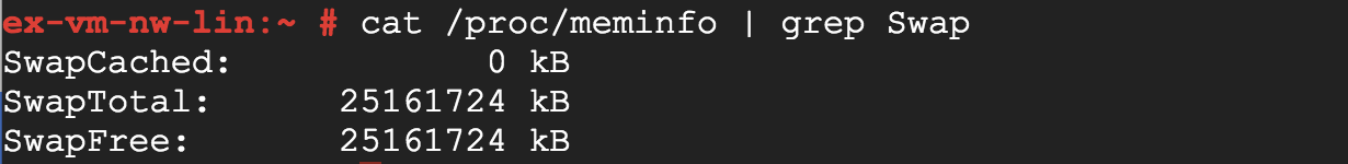 Esempio di output del terminale quando esce dalla directory di swap.