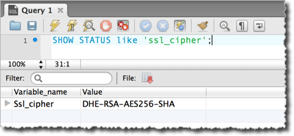 È in corso il test della connessione tramite SSL.