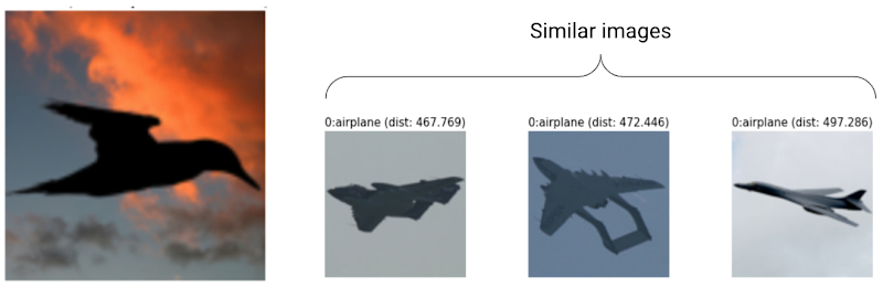 Penjelasan berbasis contoh yang menampilkan gambar burung dalam siluet yang salah diklasifikasikan dan gambar pesawat dalam siluet yang serupa dari data pelatihan.